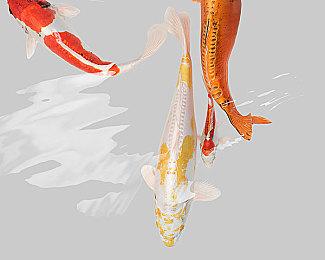 《忍者神龟：变种之怒》24年底登陆全平台